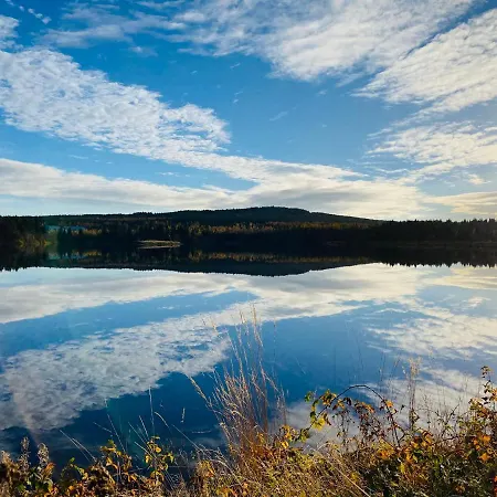 Appartement Ferienwohnung-/haus Mit Kostenfreiem Parkplatz *