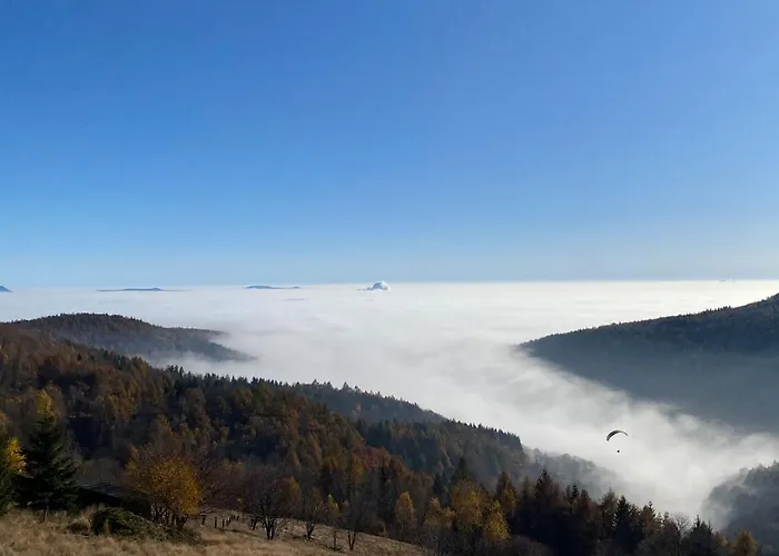 Ferienwohnung-/haus Mit Kostenfreiem Parkplatz * Altenberg (Osterzgebirge)