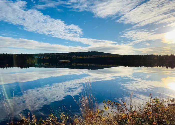 Apartamento Ferienwohnung-/haus Mit Kostenfreiem Parkplatz *